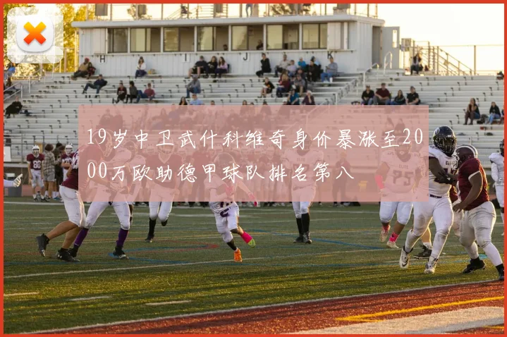 19岁中卫武什科维奇身价暴涨至2000万欧助德甲球队排名第八